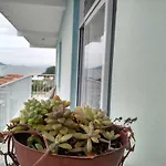 Vista Boa - Apartamento De 2 Quartos Na Servidao Boa Vista